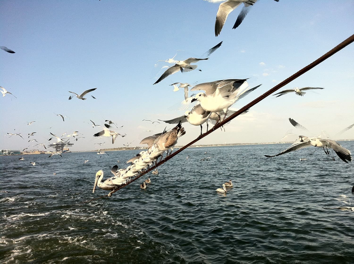 Texas Bill 18: Permit Exemption for Erosion Control Dams